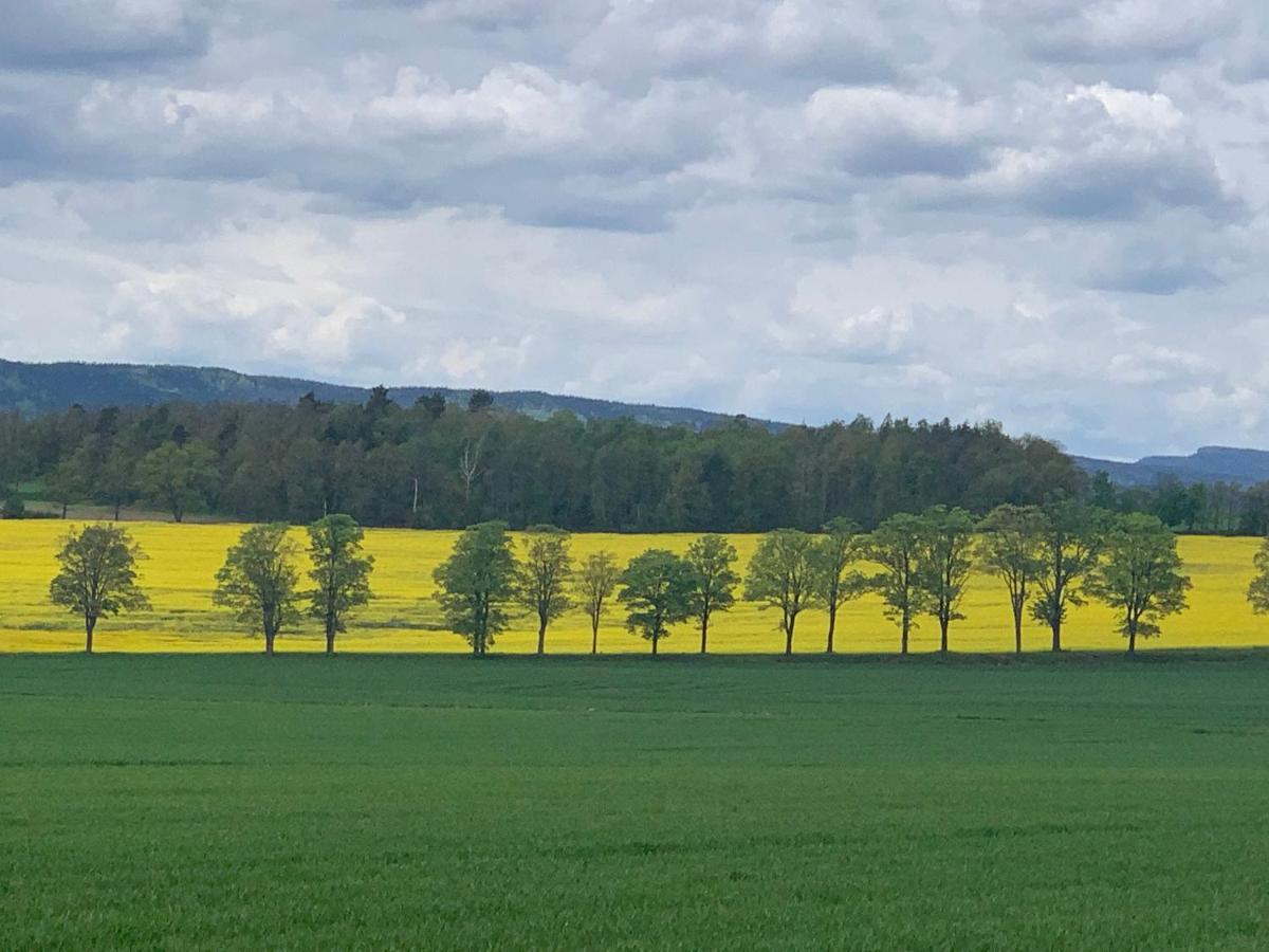 Dom Na Wzgorzu Villa Polanica-Zdroj Luaran gambar