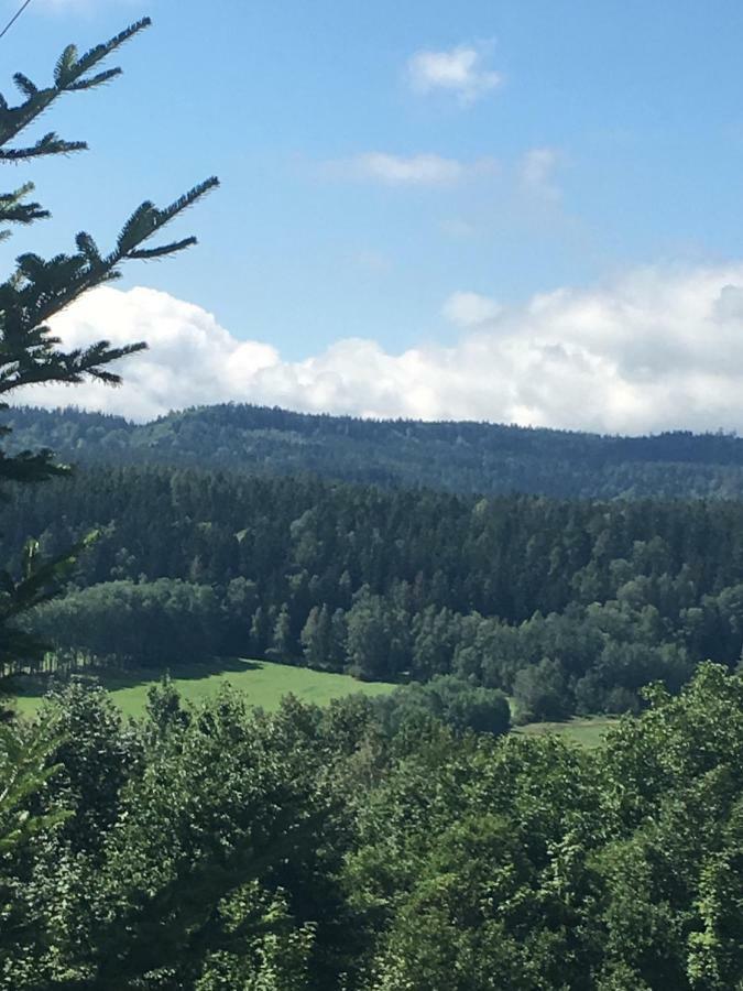 Dom Na Wzgorzu Villa Polanica-Zdroj Luaran gambar