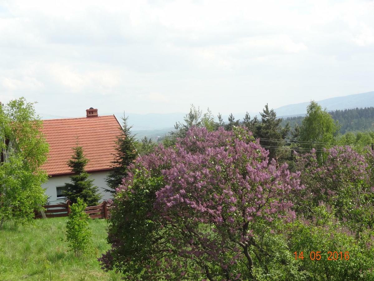 Dom Na Wzgorzu Villa Polanica-Zdroj Luaran gambar