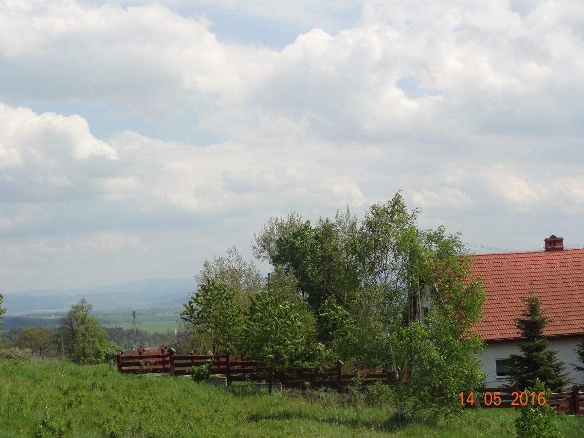 Dom Na Wzgorzu Villa Polanica-Zdroj Luaran gambar